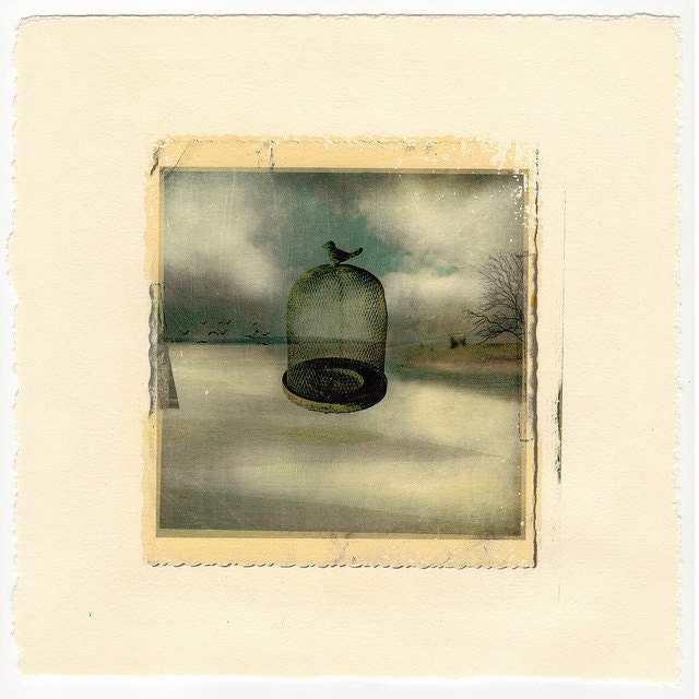 Fine Art Photography Inkjet Image Transfer Bird Cage Lake 8x8 Photo Modern Wall Decor, Office Decor