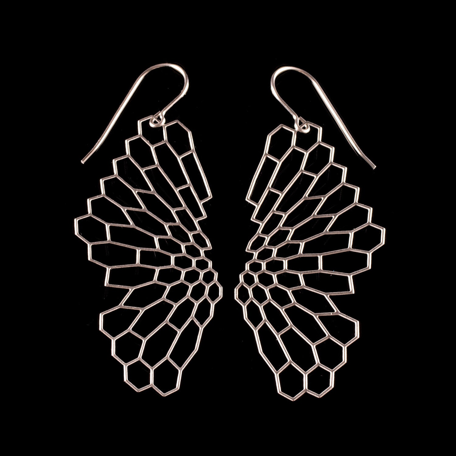 Radiolaria Earrings - stainless steel