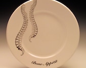 Spinal Column Bone Appetit dessert plate No. 2 NEW