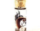 Squid Pendant Sp1