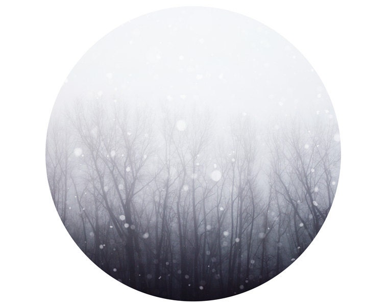 Winter Chill - Landscape photography, snow blizzard woodland forest snowflakes muted grey silver nature decor blizzard - A Winter's Tale