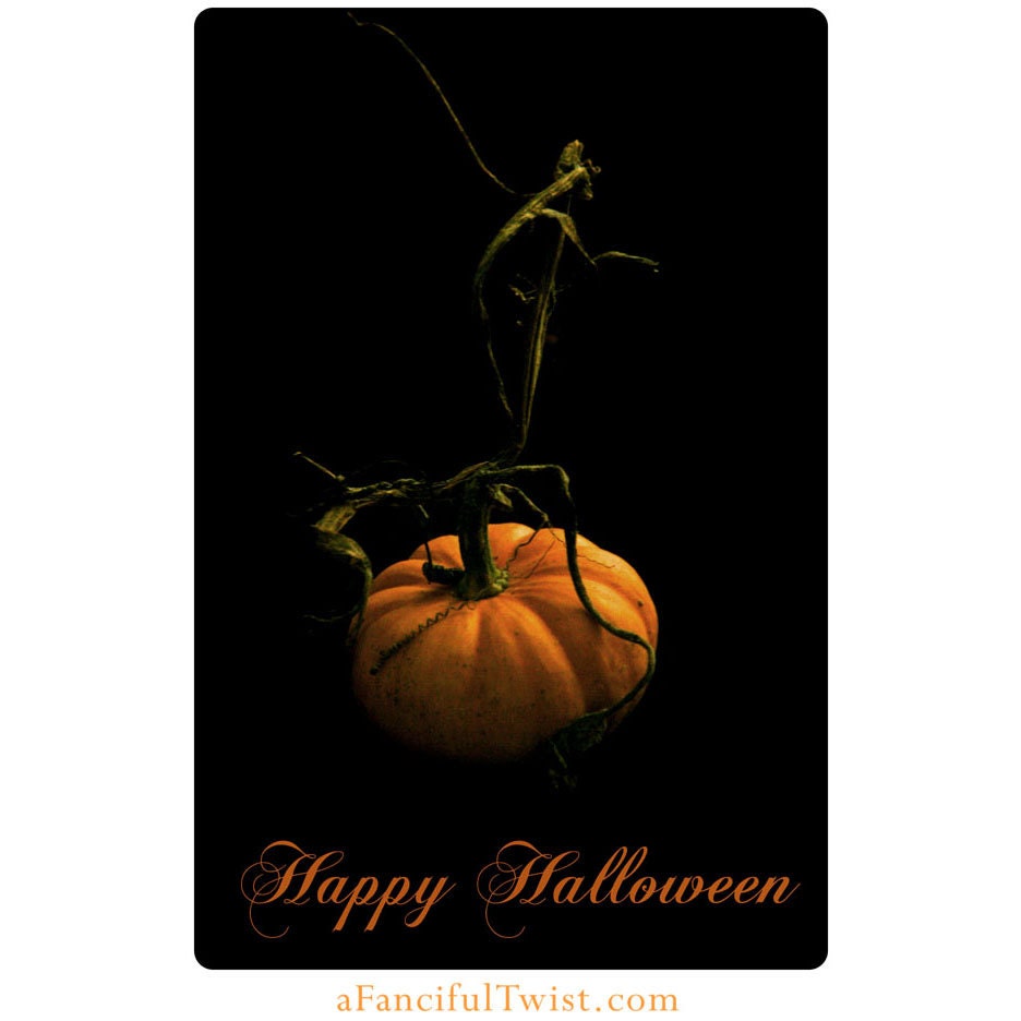 Halloween Spooky Pumpkin Cards - 5 Postcard Set