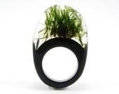 Moss Ring, Unique Clear and Black Resin Ring with Natural Moss