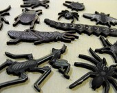Dark Bugs Wooden Crawlers Wiggling and Squirming and Creeping
