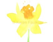 Art, Print, Giclee, Watercolor Flower, Yellow Flower:  Daffodil