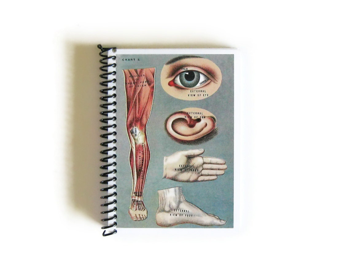 The Eye and Objects Chart  - Notebook Spiral Bound (4 x 6)