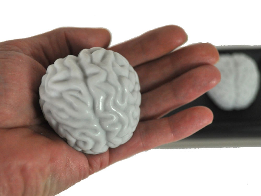 Two Brains Are Better Than One Soap