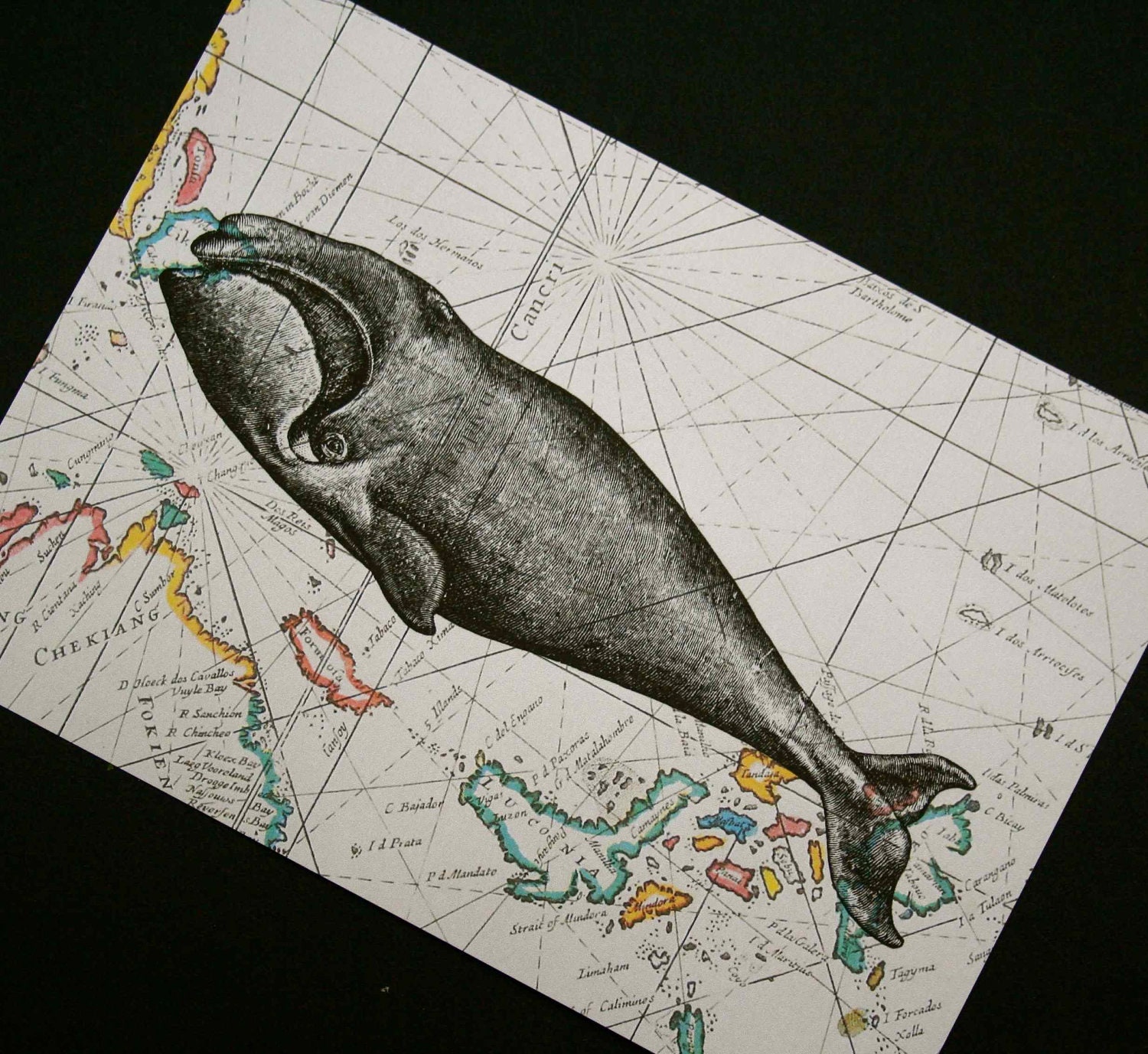 Whale Print on Map of Asian Seas - 5 x 7 Whale on Vintage Map Print