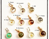 Symbolic Herb Charm, Inspirational Charm, Lucky Charm, Mustard Seed Charm, Fertility Charm