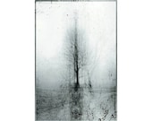 Mystery -  In the cold light of day - Surreal -  Fine art photograph print - 6,8 x 10