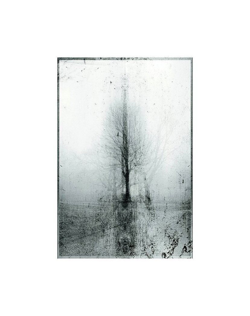 Mystery -  In the cold light of day - Surreal -  Fine art photograph print - 6,8 x 10