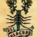 Old School Tattoo Art Scorpion EL ALACRAN Loteria Print 5 x 7