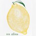 Un Citron Print