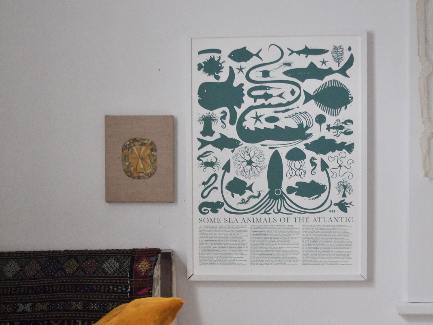 Sea Animals of the Atlantic Print - large print