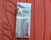 Christmas seagull magnet