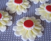 5 felt daisies (25 pieces)