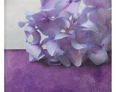 Pole Hortensia