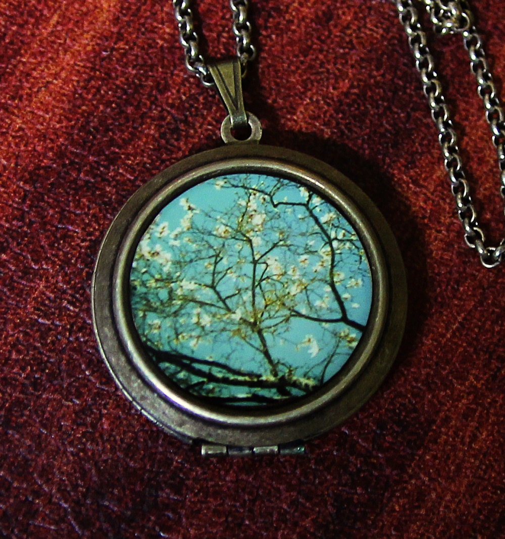 Photo Locket - Reach - Nature Landscape Teal Green Photo Locket Necklace