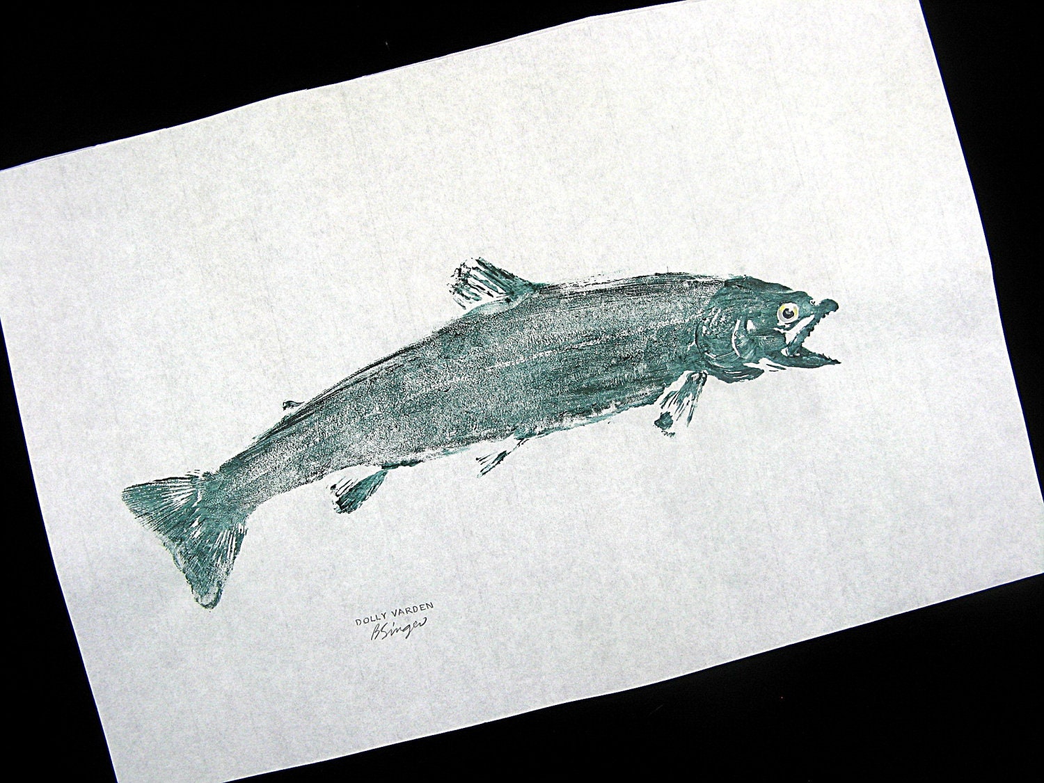Dolly Varden Trout GYOTAKU Japanese Fish Rubbings on Rice paper 12X18 Cottage Art