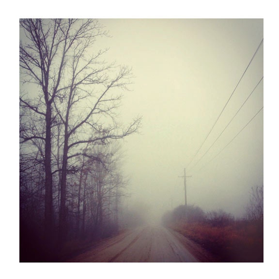 Landscape Photography, Foggy Drive, 8x8 Print, Ethereal Photo, Sage Green Color, Morning Fog, Trees, Winter Landscape