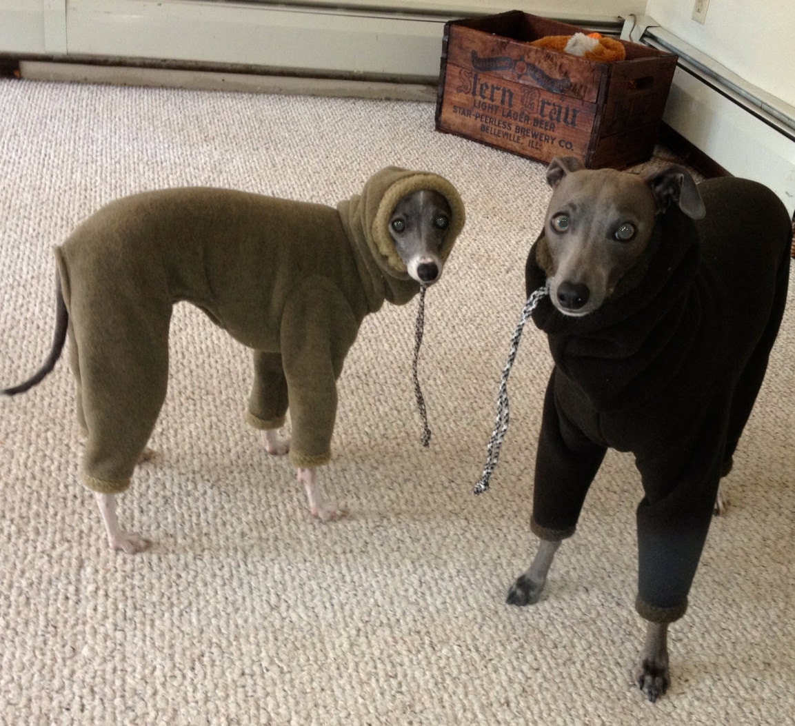 Famous Fit Italian Greyhound Polar Suit Winter Wear with attached snood head covering-made 2 measure in 4 colors