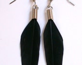 Black  Feather Earrings