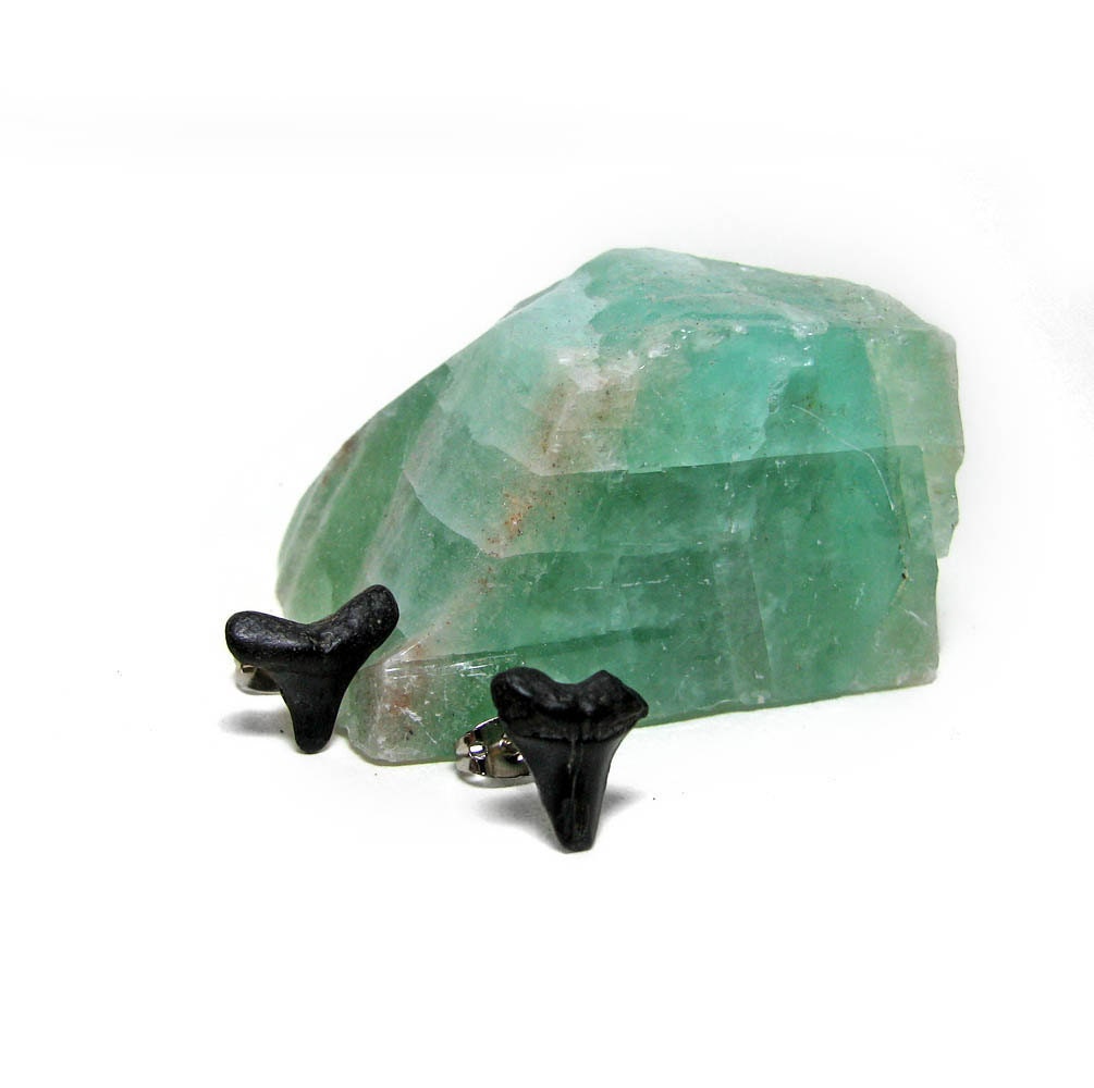 Real Fossil Shark Stud Earrings by Tanja Sova