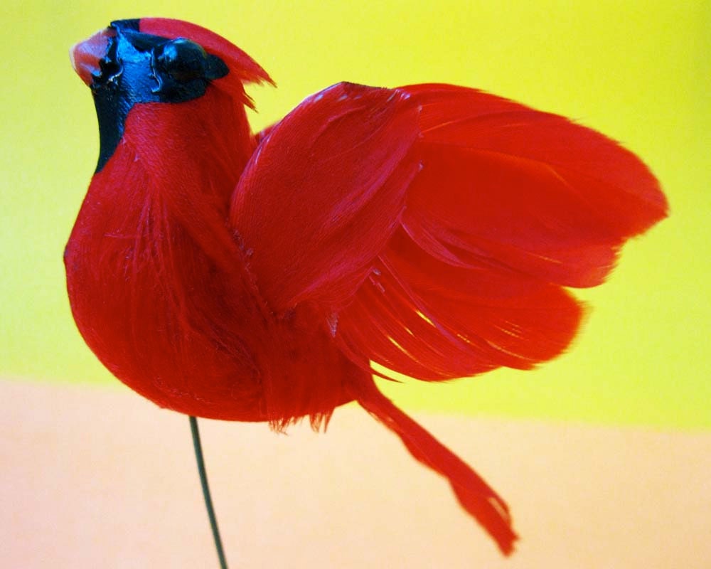 Vintage Charming Red Cardinal Bird, Art and Craft Supply, Petite Miniature 3 Dimensional Bird Figurine, Cardinal in Flight