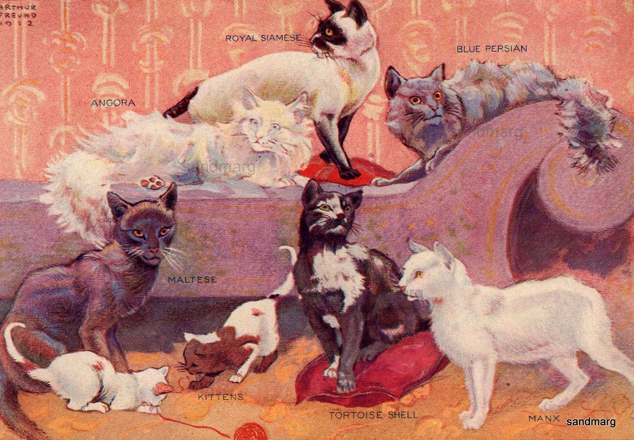 Vintage 1912 Chart of Cats Fabulous Felines Maltese Tortoise Shell Manx Blue Persian Royal Siamese Angora