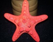 Starfish, ocean, Beach wedding, tropical wedding, bridal, starfish barrette, starfish hair clip, fish, ocean clip,mermaid, orange