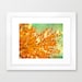 Fall photography autumn color woodland photograph rustic art persimmon orange leaves mint sky naturalist photo tango tangerine