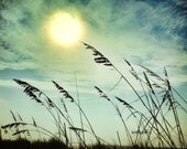 beach photography 5x7 or 5x5