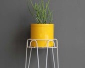 Modern Metal Hairpin Plant Stand