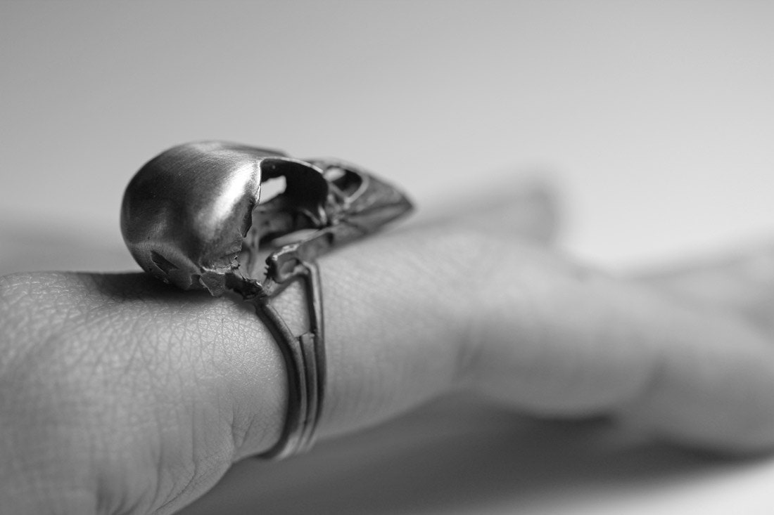 homeward bound. sparrow skull ring.