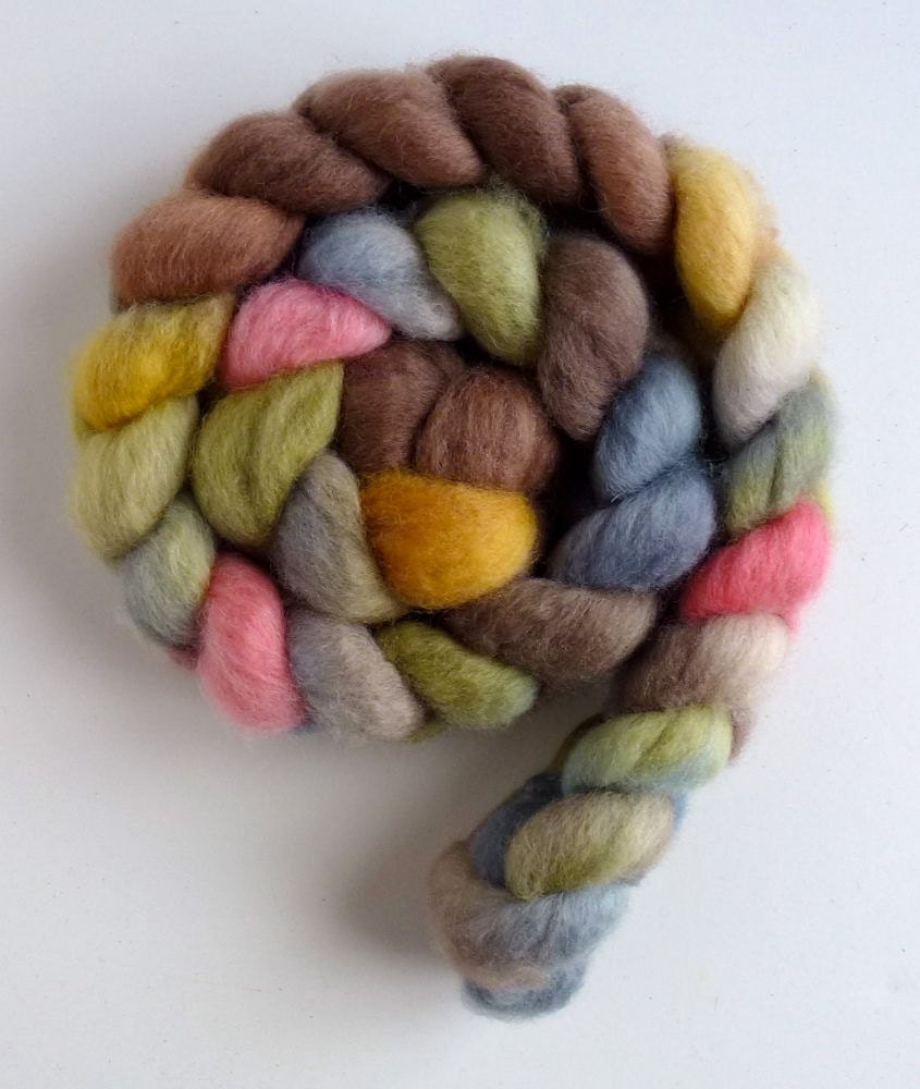 BFL Wool Roving - Hand Painted Spinning or Felting Fiber, 4 ounces, Girlfriends