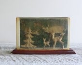 Vintage Woodland Postcard Display Holder