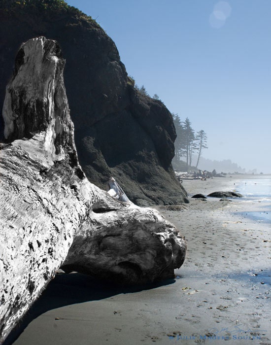 Pacific Northwest Beach Photography -Northwest Coast -Coastal Art -Blue Decor -Photography Gift -11x14 Colorado Fine Art Photograph