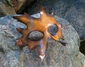 Leather Leaf Mask - Yellow Oak