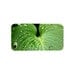 New iphone 5, 4, 4s  plastic case "Raindrops"