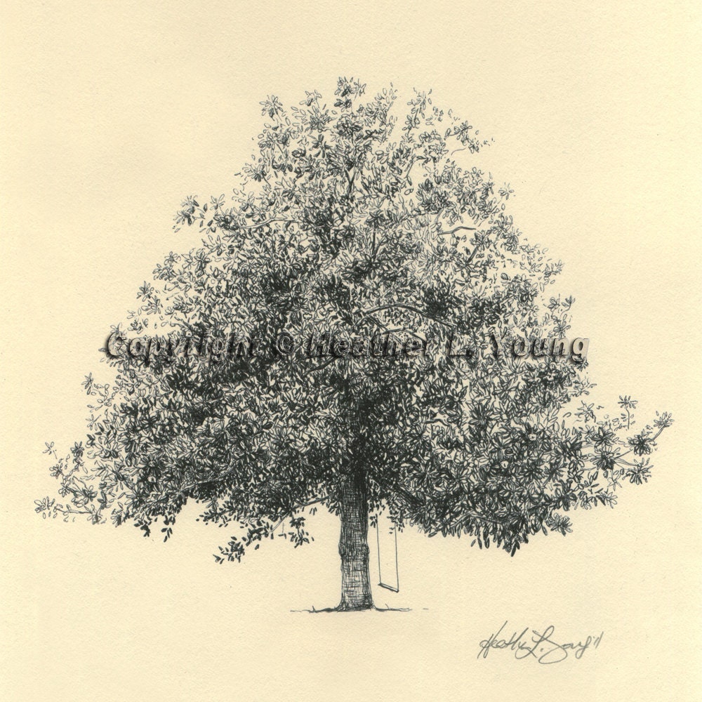 Magnolia Tree Drawing Fine Art Print in Natural - Gordonston Savannah