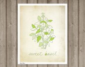 Sweet Basil - art print