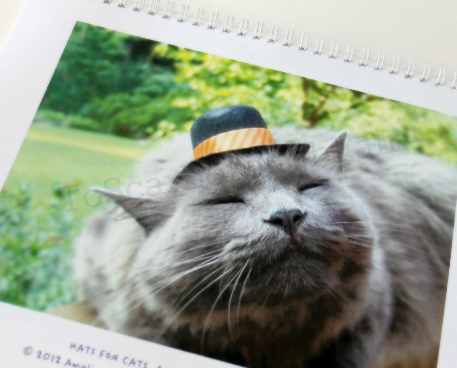 2013 CALENDAR -  Limited Edition - Different images of cats in hats from the ToScarboroughFair shop