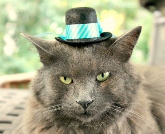 Cat Hat - Cool Valentine - Teal Pet hat
