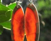 Monkey Puzzle Wood Glowing Awesome Earrings