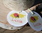 Ladybug Tags