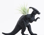 Dinosaur Planter with Air Plant Room Decor, College Dorm Ornament, Plants and Edibles