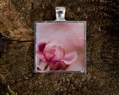flower jewelry resin photo pendant - Cherry Blossoms - 1 inch wearable flower photography art botanical photo