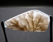 Stinking Water Plume Cabochon Hand Cut ASWP3