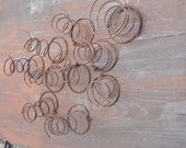Rusty Bed Springs-Instant Collection-Set of 10