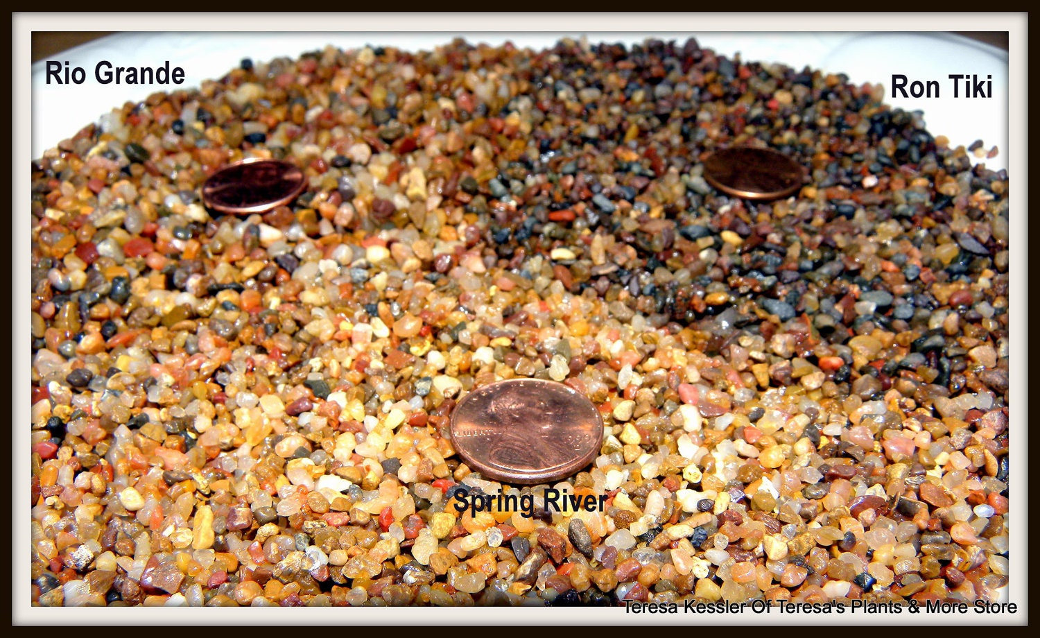 Bulk by the pound Small Micro stones-Miniature Polished Pebbles for terrariums-Vivariums-Weddings-Craft Projects and More
